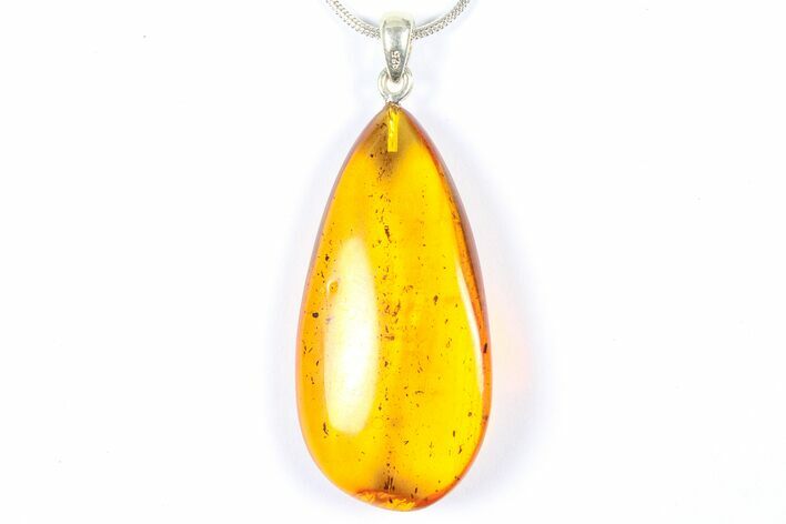 Polished Baltic Amber Pendant (Necklace) - Contains Fly! #368910